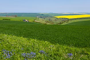 The Yorkshire Wolds